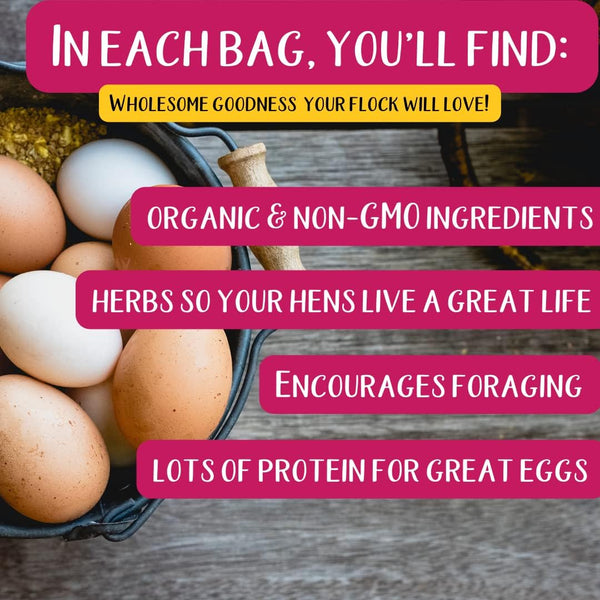 Oregano Peck Chicken Feed Supplement with North American Kelp & Oregano