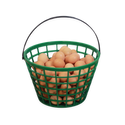 EZ-Gather Egg Basket