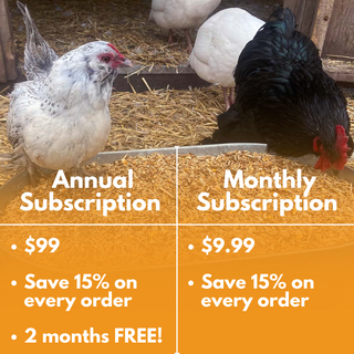 Cluck Bucks Premium