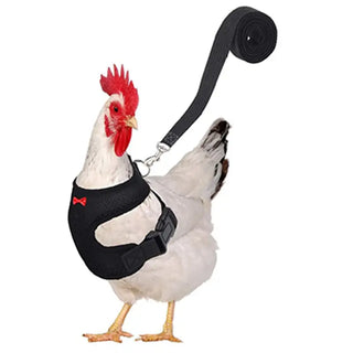 Buy black Breathable Adjustable Chicken Harness - Perfect for Ducks, Geese, and Other Poultry Pets