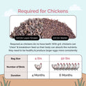 Chicken Grit