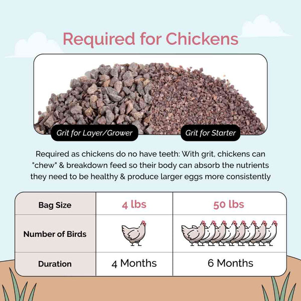 Chicken Grit