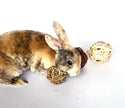 BunLuv Sea Grass Ball Chew Toy For Rabbits