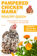 Poultry Queen Mealworm, Non-GMO Corn, Non-GMO Flax, & Herb Treat For Pet Chickens