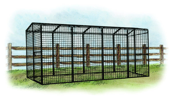 Walk-In 15 ft. Chicken Run (6'6
