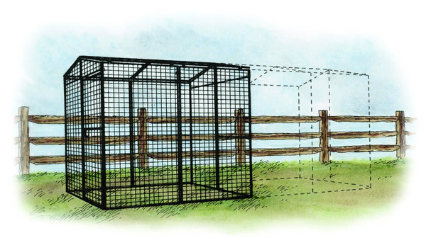 Walk-In 8 ft. Chicken Run (6'6