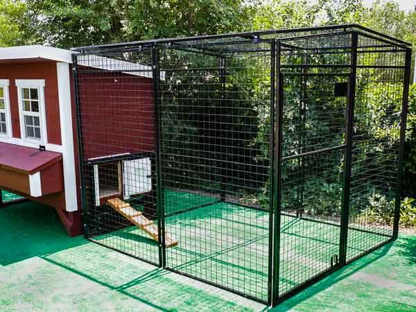 Walk-In 8 ft. Chicken Run (6'6