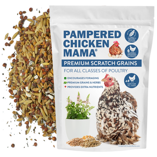 Premium Chicken Scratch With Herbs To Encourage Positive Behaviors