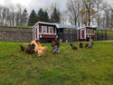 Walk-In 8 ft. Chicken Run (6'6