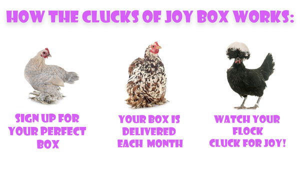 Clucks Of Joy Subscription Box (6 Month Pre-Paid): Pest Control & Non-GMO Treats Delivered Monthly! With FREE Holiday Goody Box!
