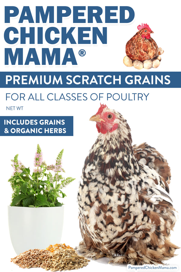 Non-GMO Premium Chicken Scratch With Herbs To Encourage Positive Behaviors