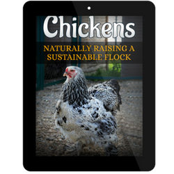 photo of book chickens naturally raising a sustainable flock