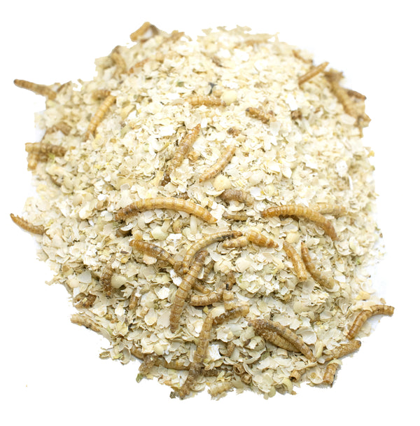 Luv U Much Mealworm & BloomGrubs Treat: Just Mix With Water For A Fun Treat!