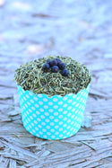 mitesbgone coop herbs with diatomaceous earth in a blue container