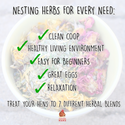 Infographic explaining benefits of Nesting Herbs for pet chickens