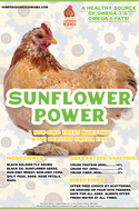 Sunflower Power Textured Treat With Sunflower Seeds, BloomGrubs, Rose, Sage, Corn