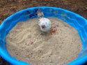 Pick Me Up Dust Bath With Herbs - For Pet Chickens & Other Poultry