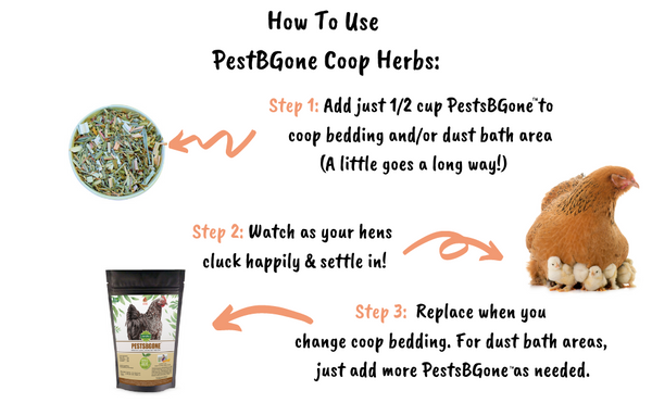 How to use pestsbgone coop herbs infographic