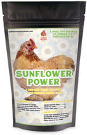 Sunflower Power Textured Treat With Sunflower Seeds, BloomGrubs, Rose, Sage, Corn