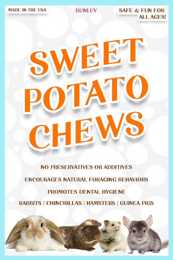 BunLuv Sweet Potato Chews For Rabbits, Guinea Pigs, Chinchillas, & Hamsters (5 oz)