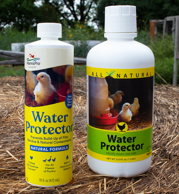 Poultry Water Protector: Keeps Waterers Clean Longer!