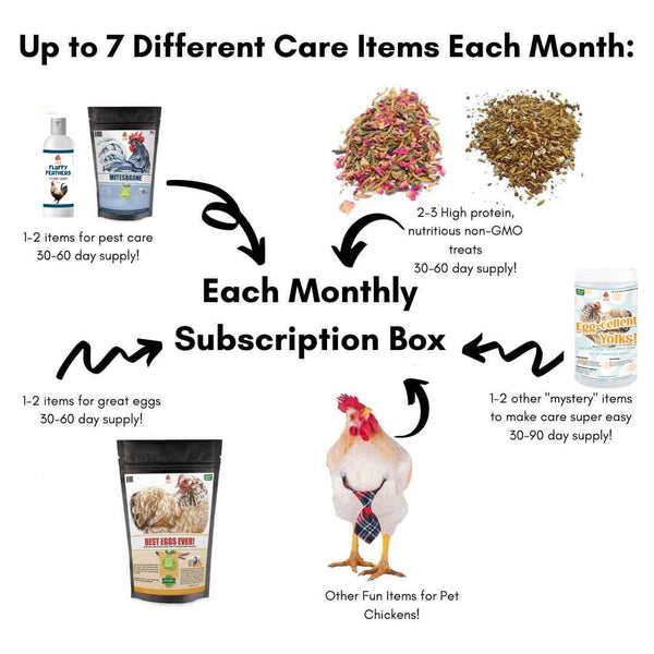 Clucks Of Joy Subscription Box: Non-GMO Treats Delivered Monthly! Cyber Monday Deal: 2 FREE Seasonal Treats With Your New Clucks of Joy Subscription!